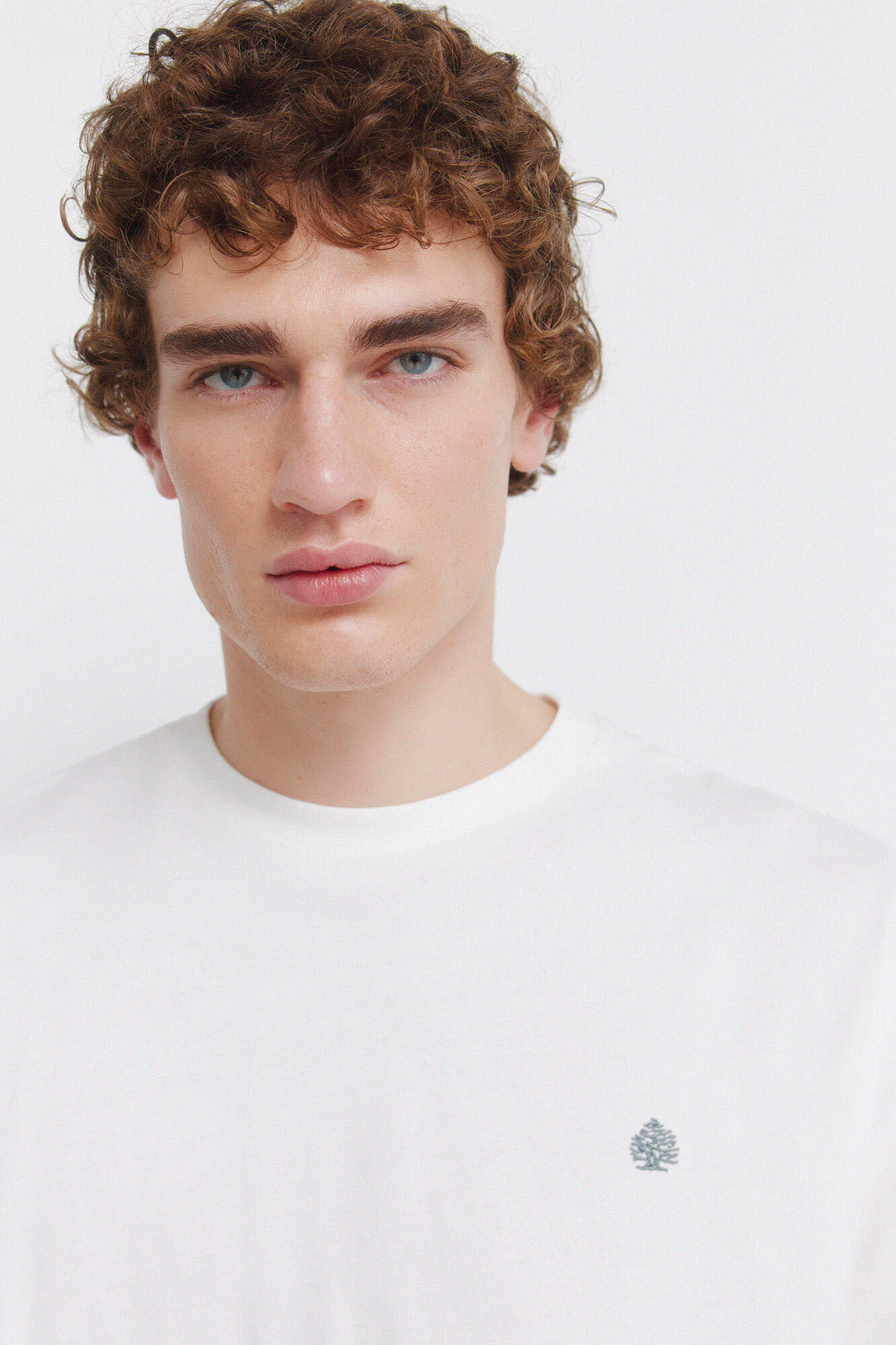 Springfield Camiseta manga larga carbono marfil