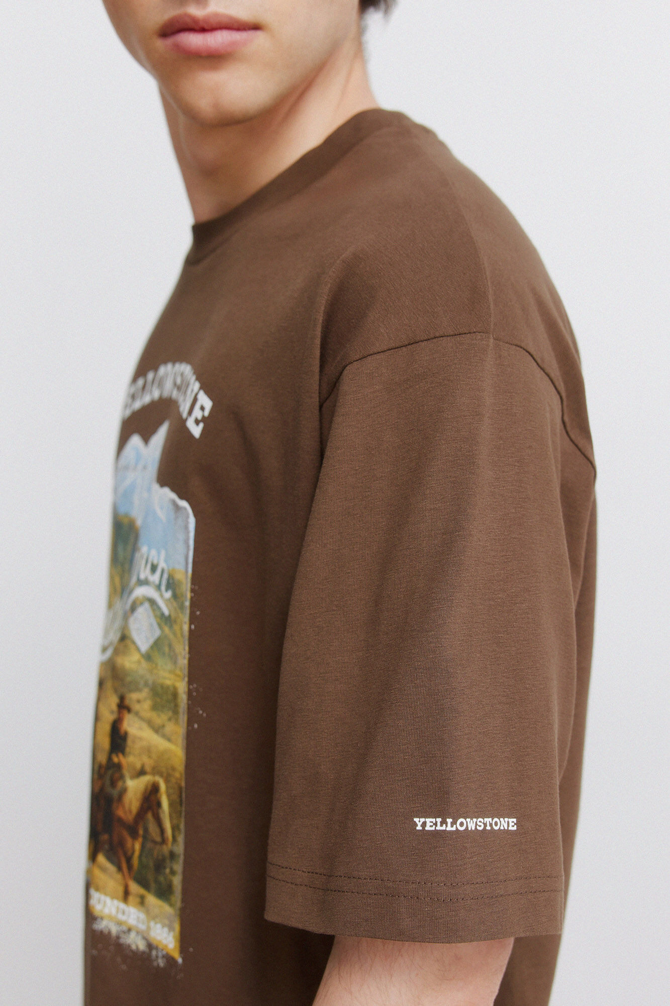 Springfield Playera Yellowstone caf&eacute;