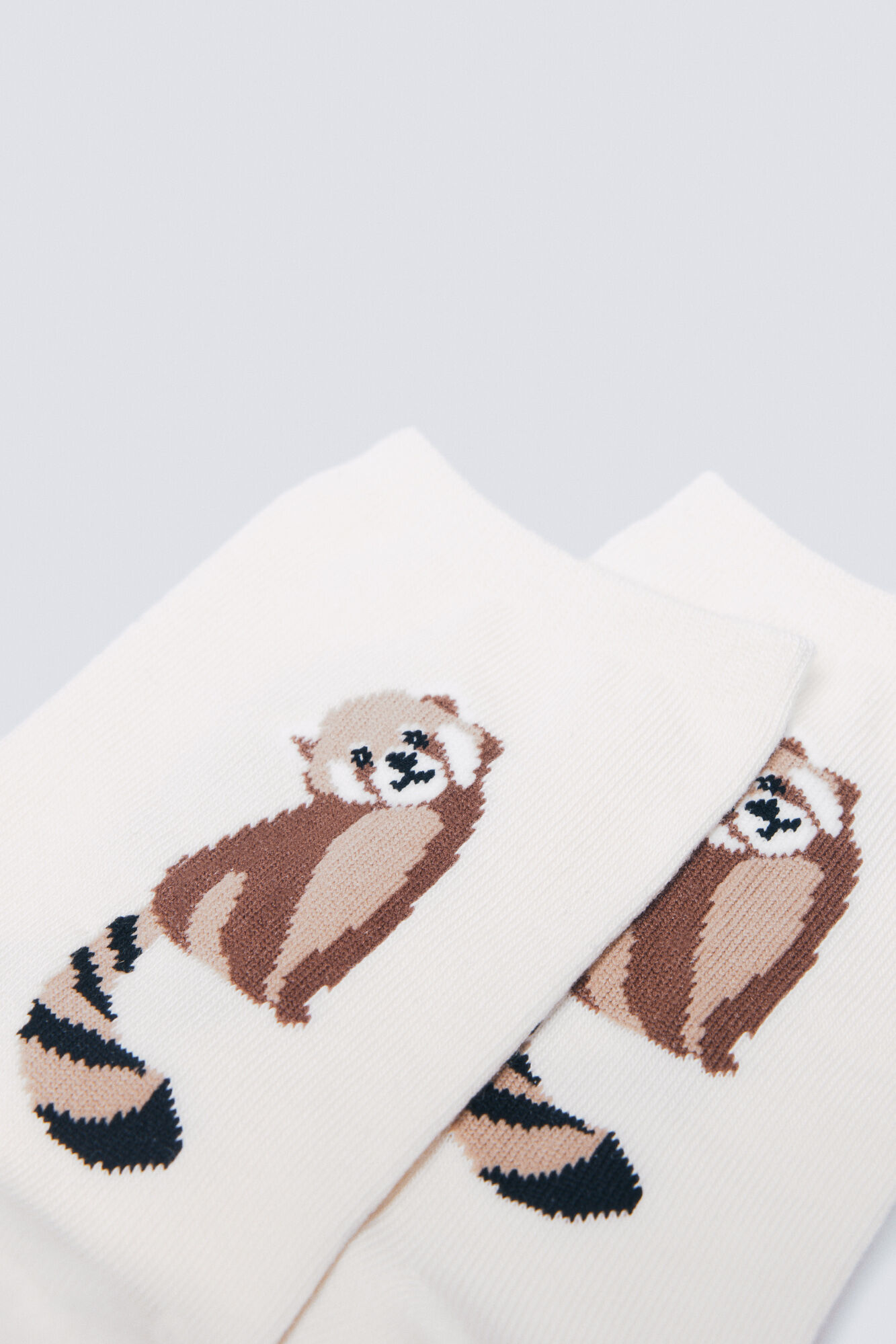 Springfield Calcet&iacute;n largo mapache