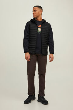 Springfield Chamarra acolchada combinada negro