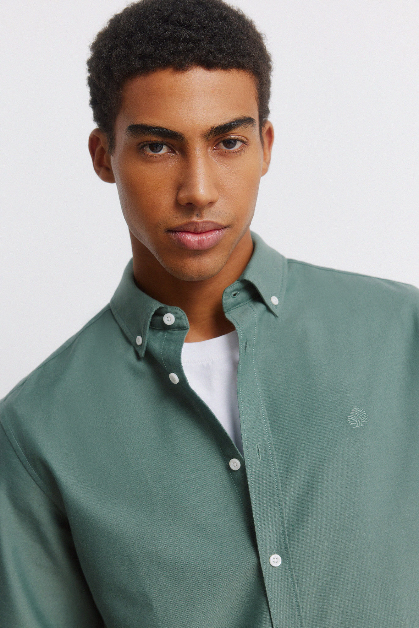 Springfield Camisa oxford sin arrugas verde