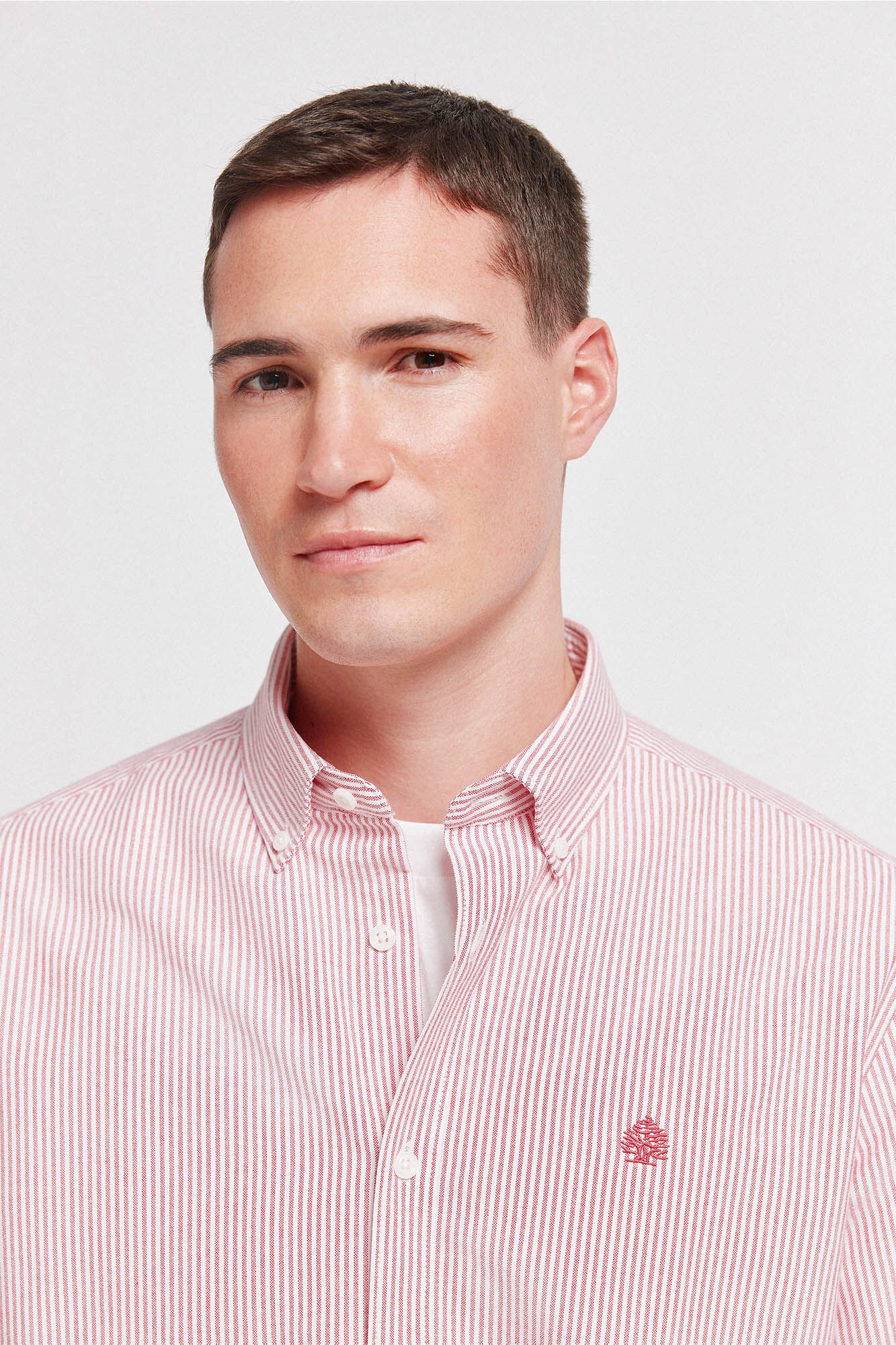 Springfield Camisa oxford a rayas sin arrugas rojo