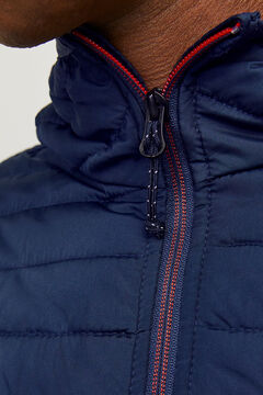 Springfield Chamarra acolchada combinada azul