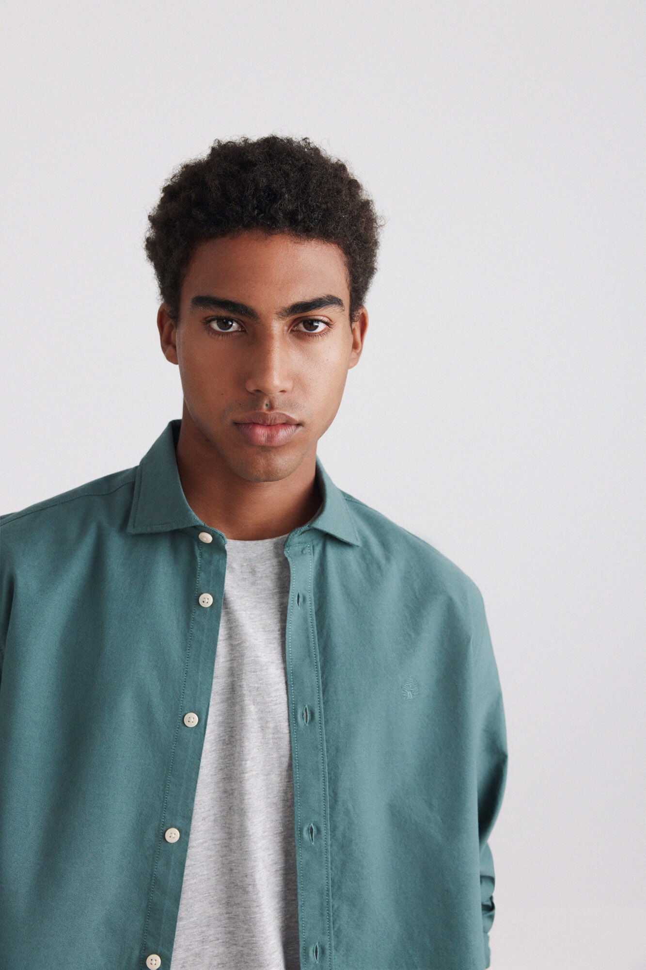 Springfield Camisa oxford ligera verde