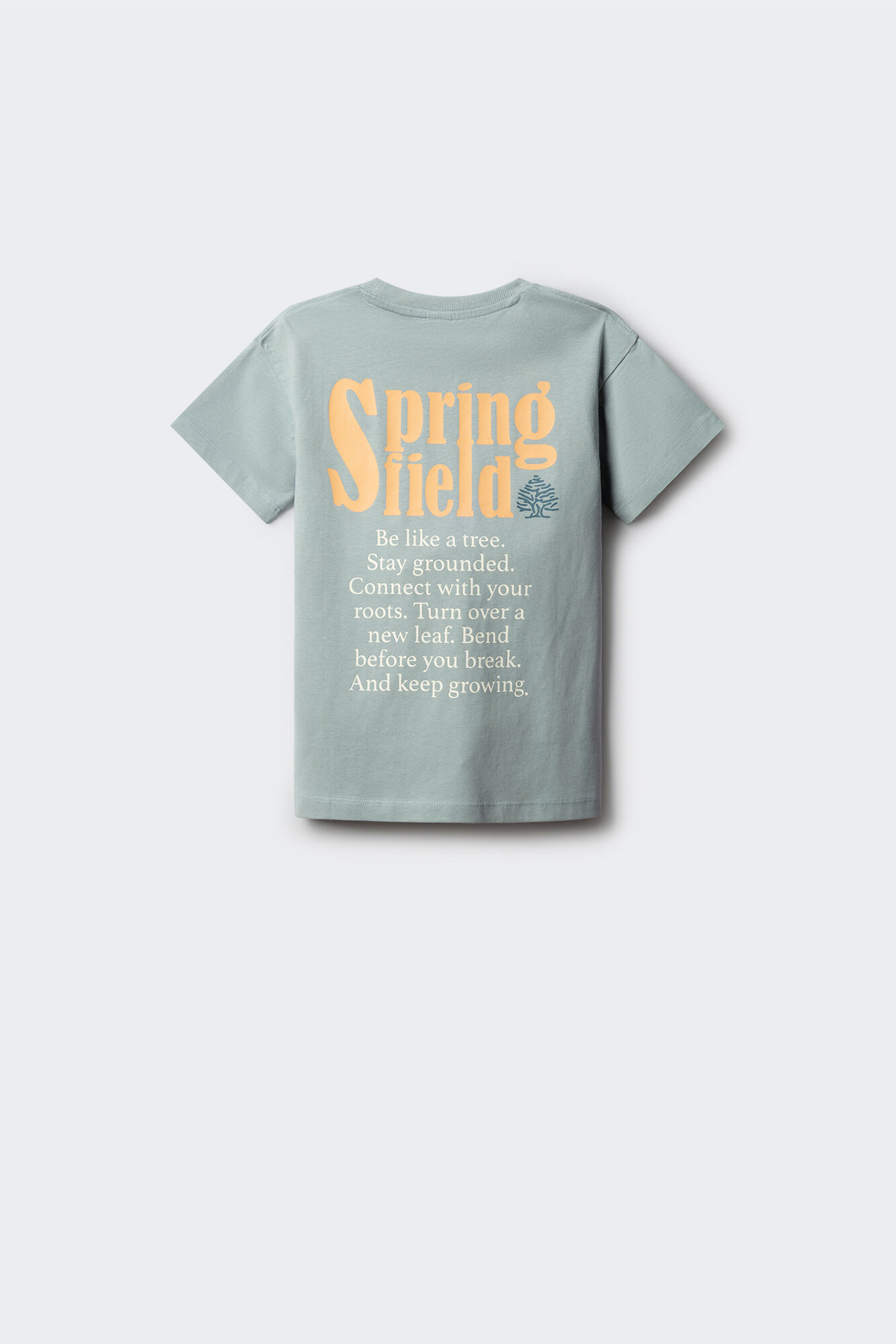 Springfield Kids Playera con texto Springfield para ni&ntilde;o