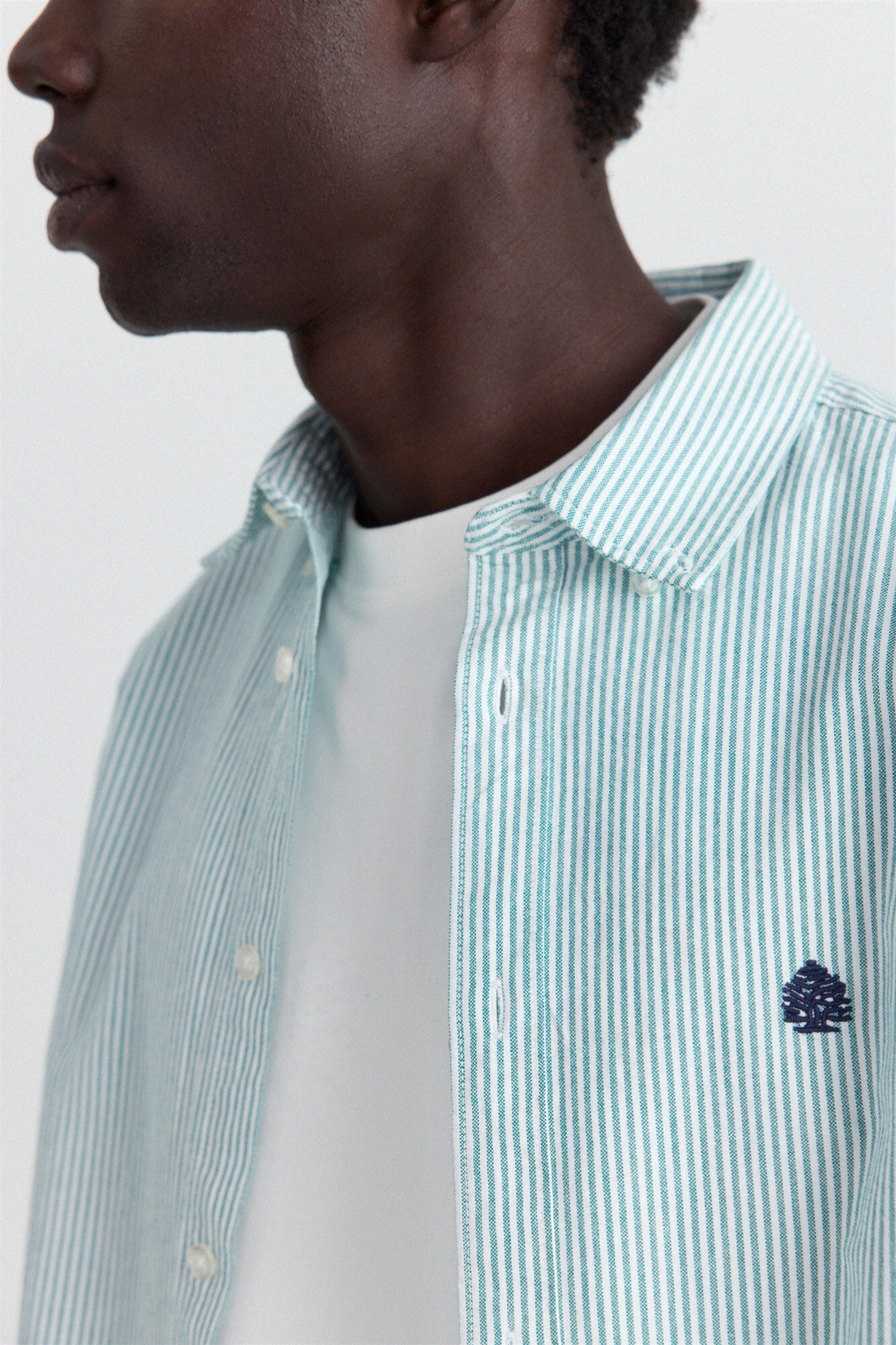 Springfield Camisa oxford de rayas verde