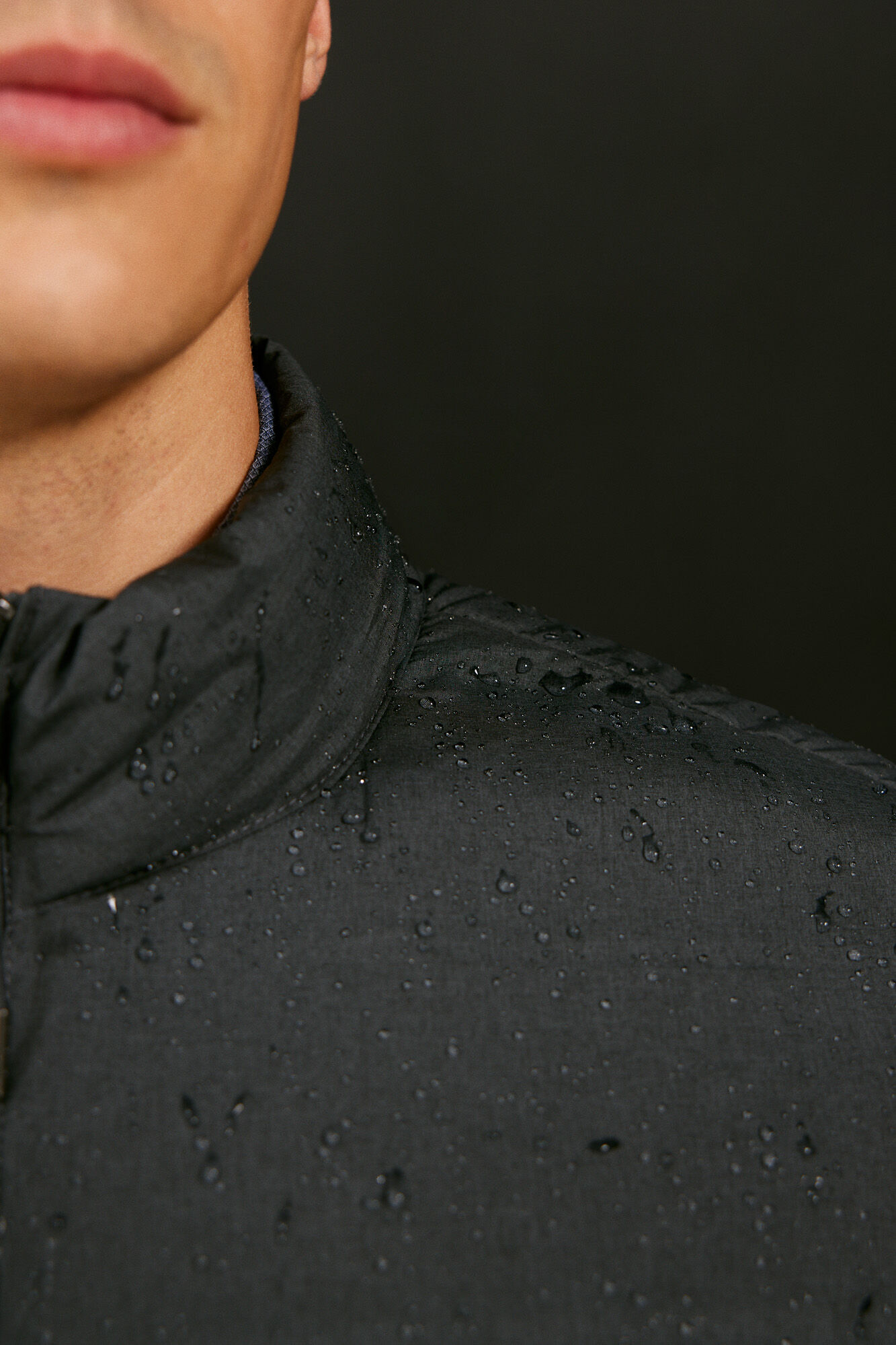 Springfield Chamarra acolchada termosellada gris