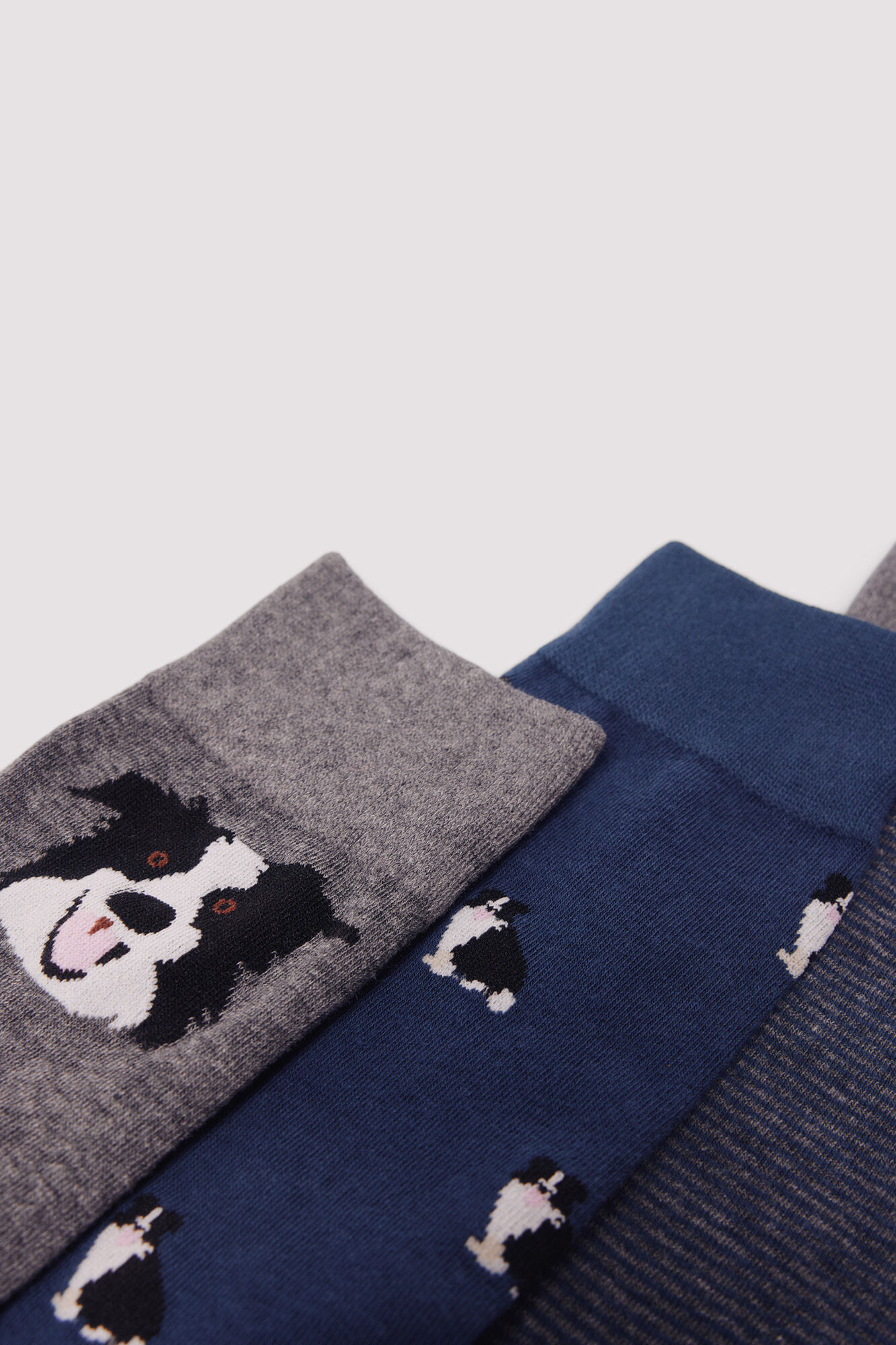 Springfield Pack 3 calcetines algod&oacute;n perros azul indigo