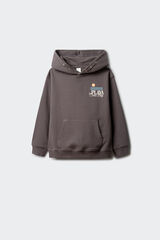 Springfield Kids Sudadera "La Playa" ni&ntilde;o gris
