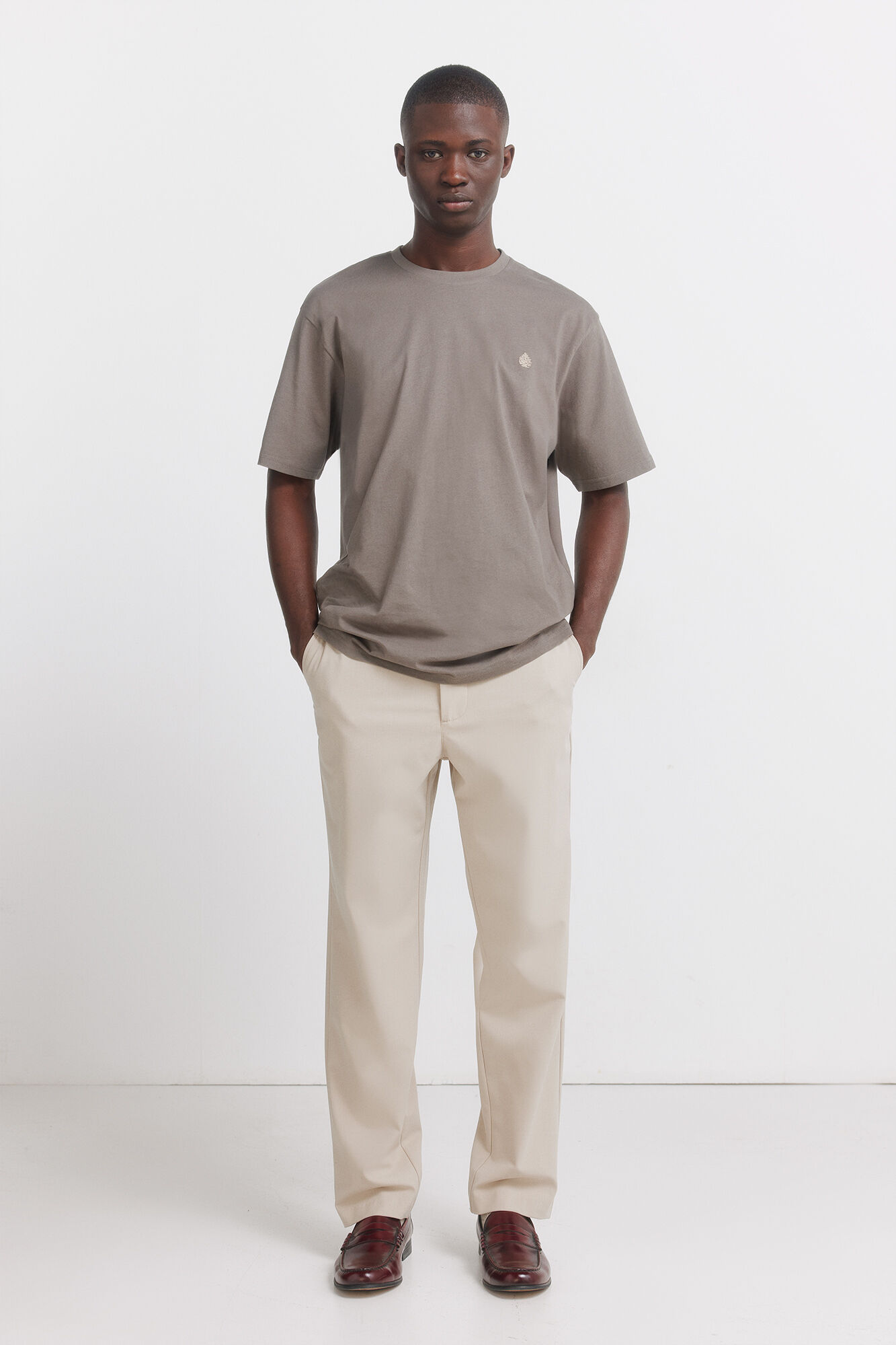 Springfield Camiseta b&aacute;sica logo springfield caf&eacute;