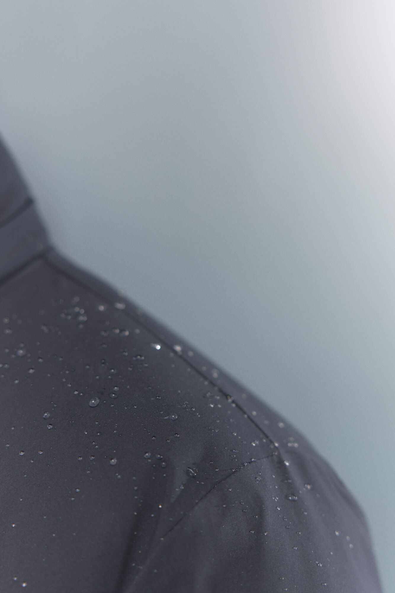 Springfield Parka t&eacute;rmica acolchado azul