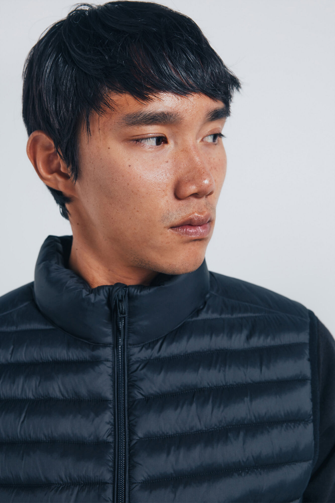 Springfield Chaleco acolchado