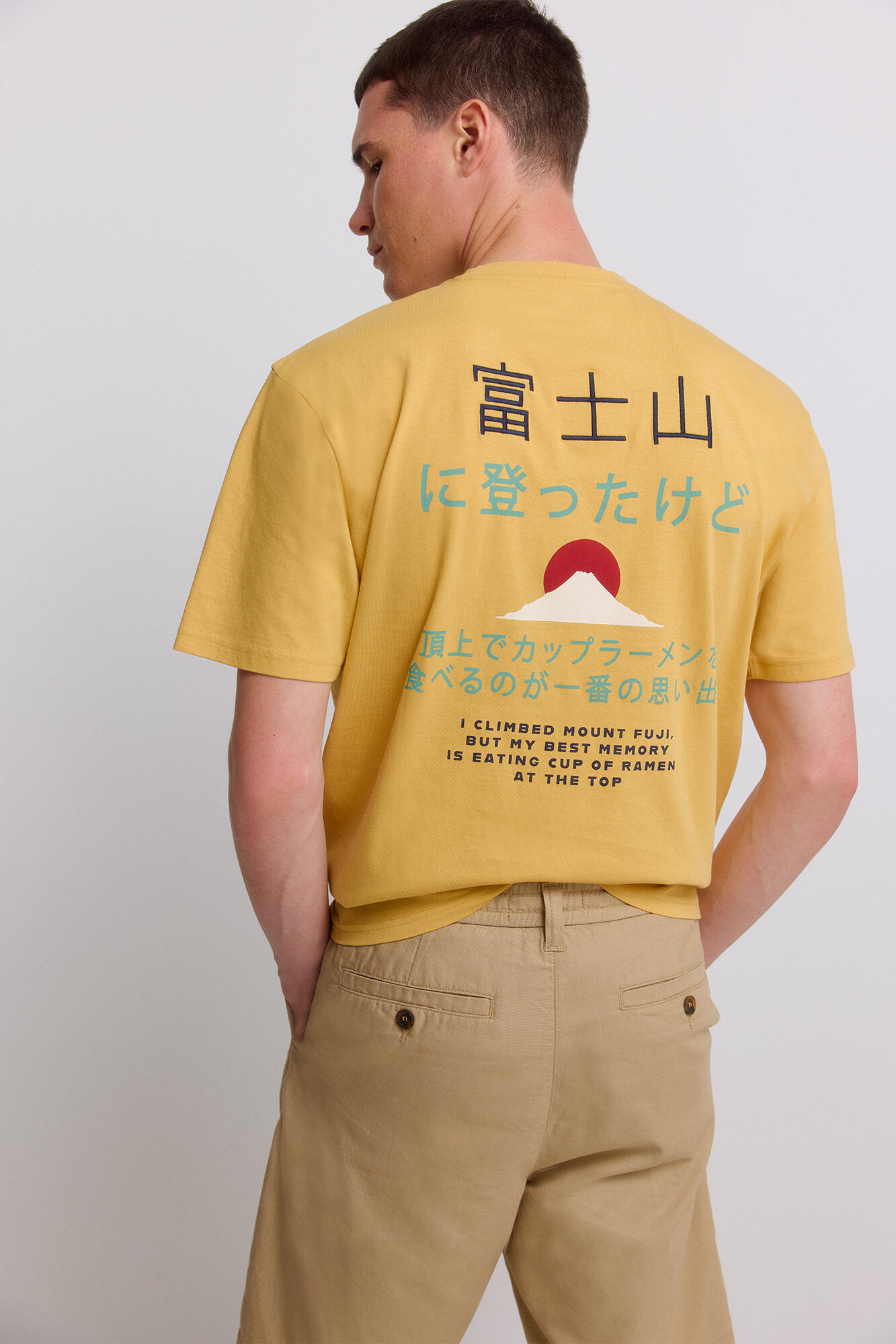 Springfield Playera fuji