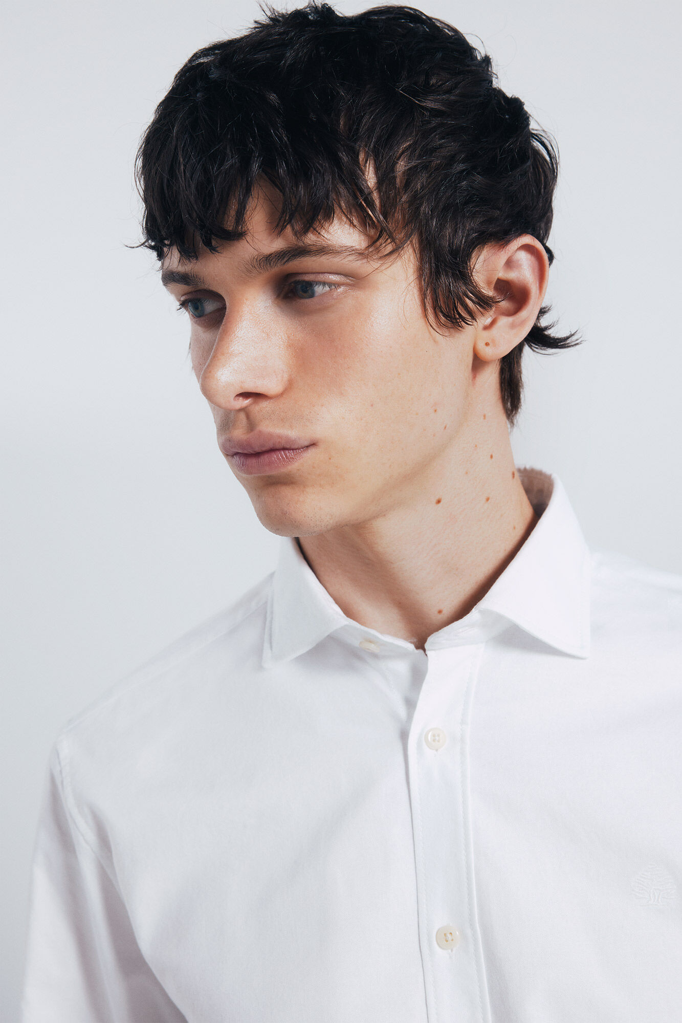 Springfield Camisa Oxford ligera