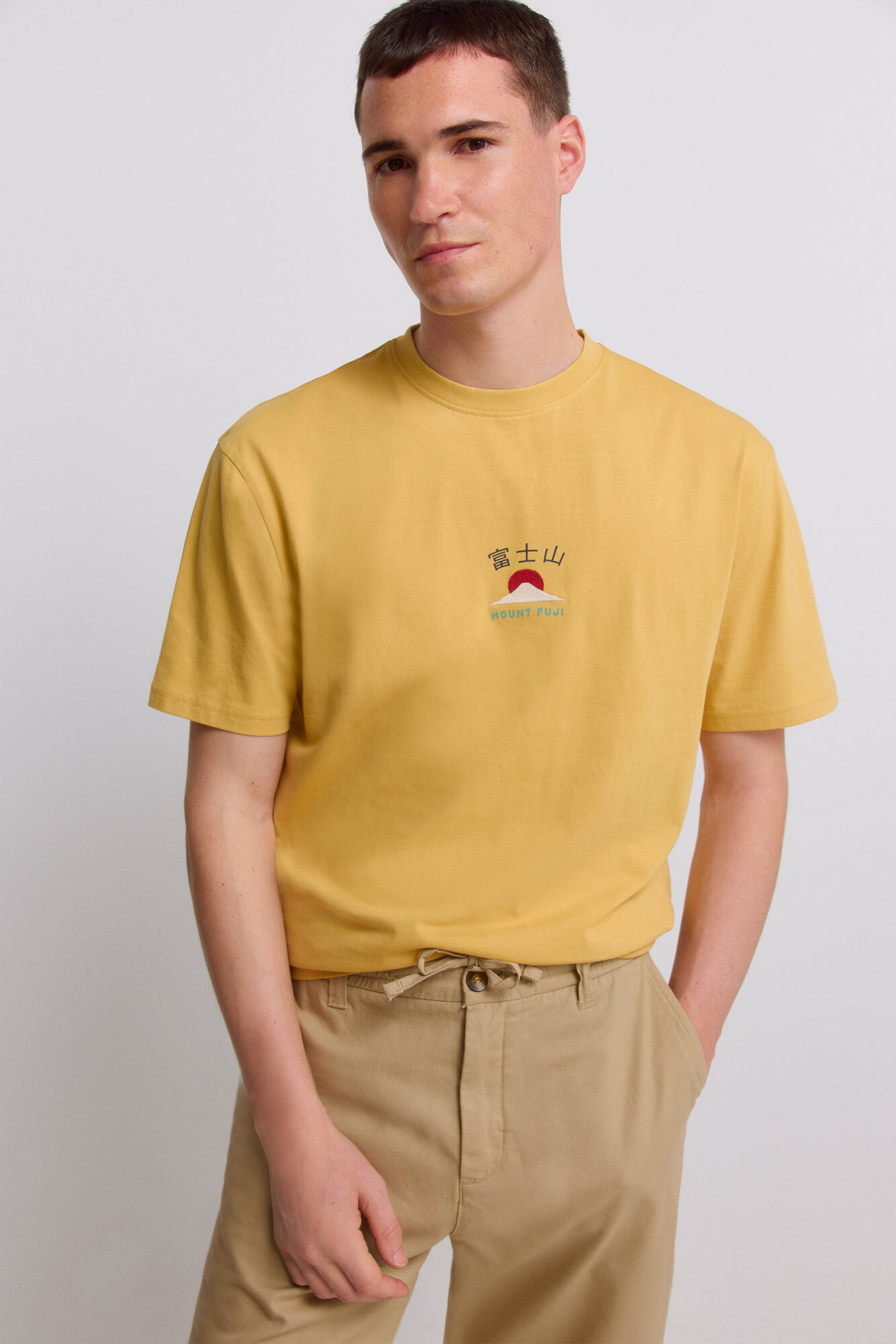 Springfield Playera fuji