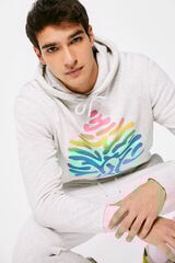 Springfield Sudadera capucha logo degradado gris
