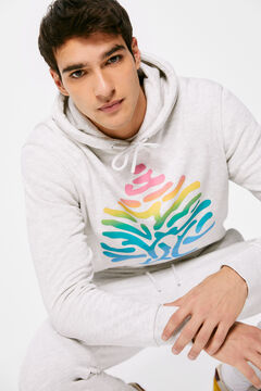 Springfield Sudadera capucha logo degradado gris