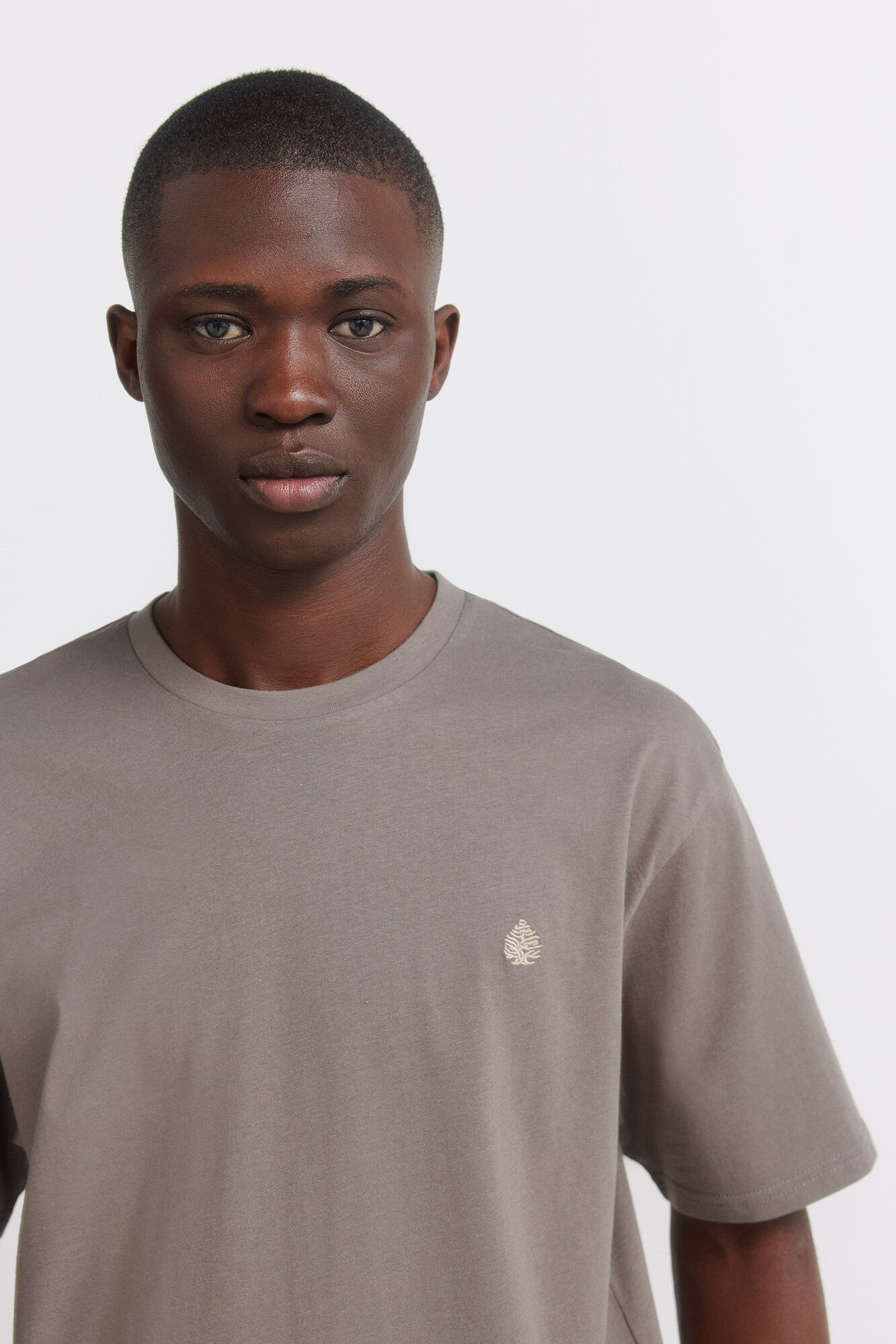 Springfield Camiseta b&aacute;sica logo springfield