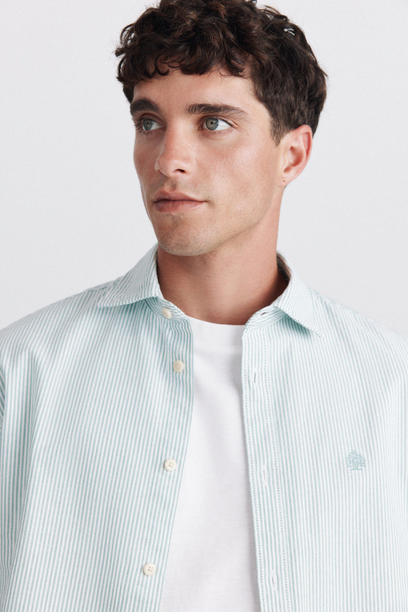 Springfield Camisa de manga corta oxford a rayas