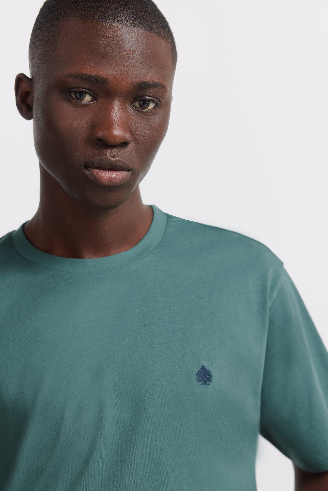 Springfield Camiseta b&aacute;sica logo springfield