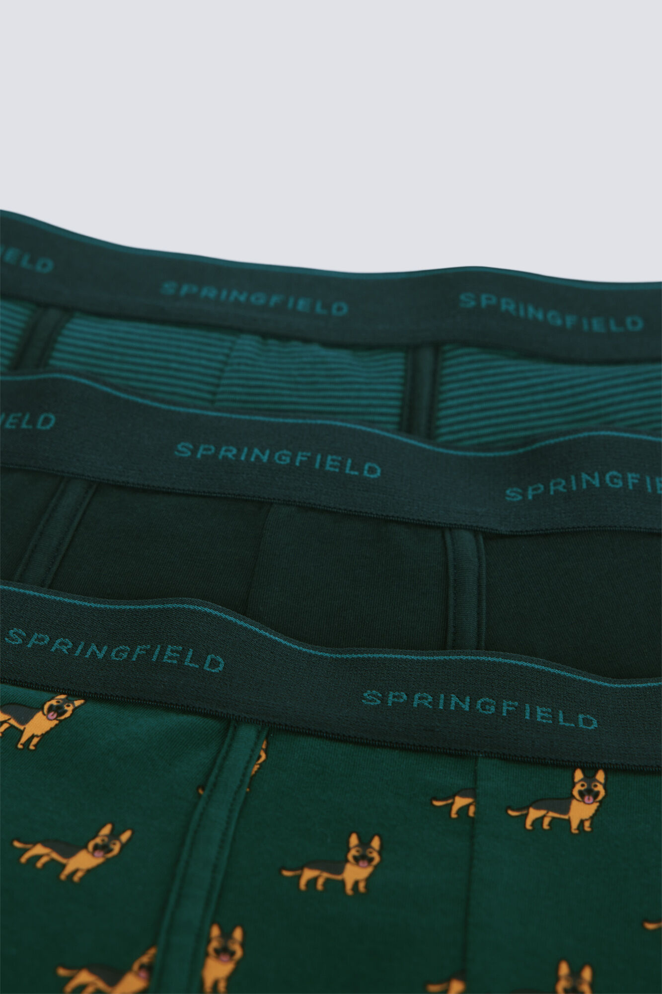 Springfield Pack 3 b&oacute;xeres perros y rayas verde