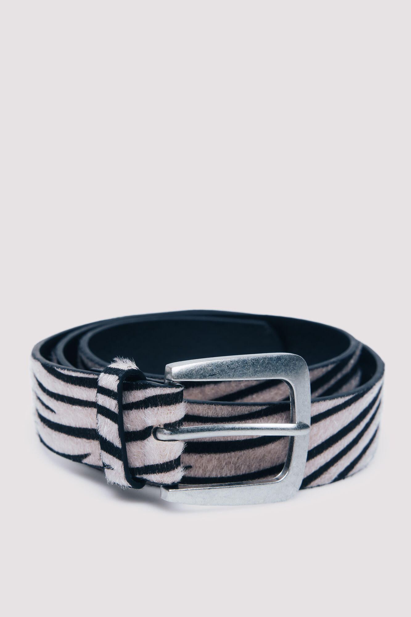 Springfield Cintur&oacute;n de cebra mediano