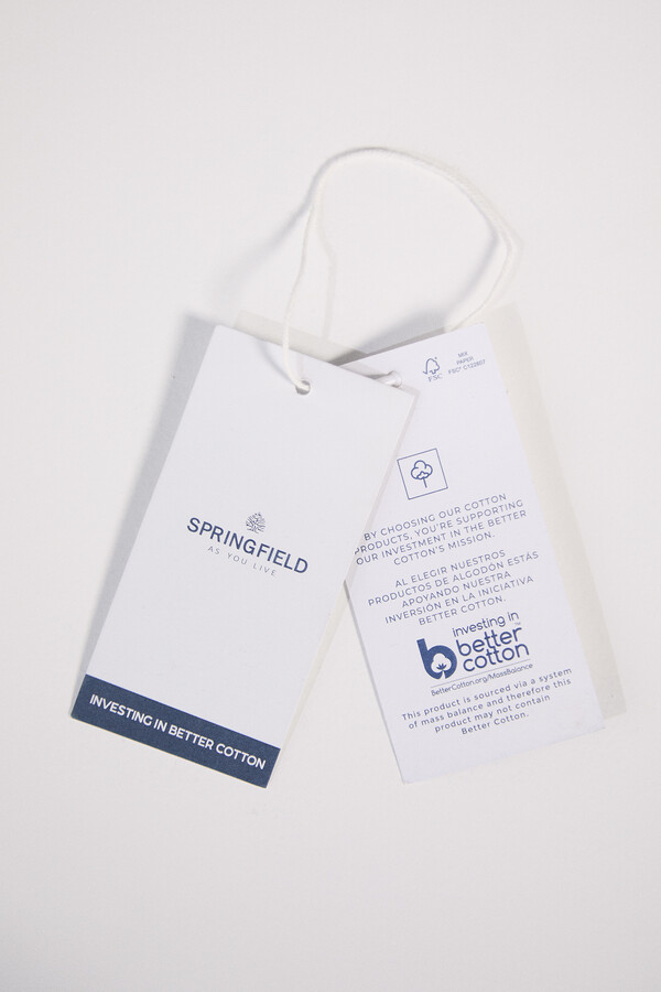 Springfield Camisa estructura azulado