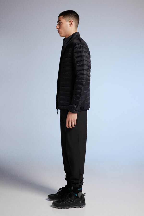 Springfield Chamarra acolchada combinada negro