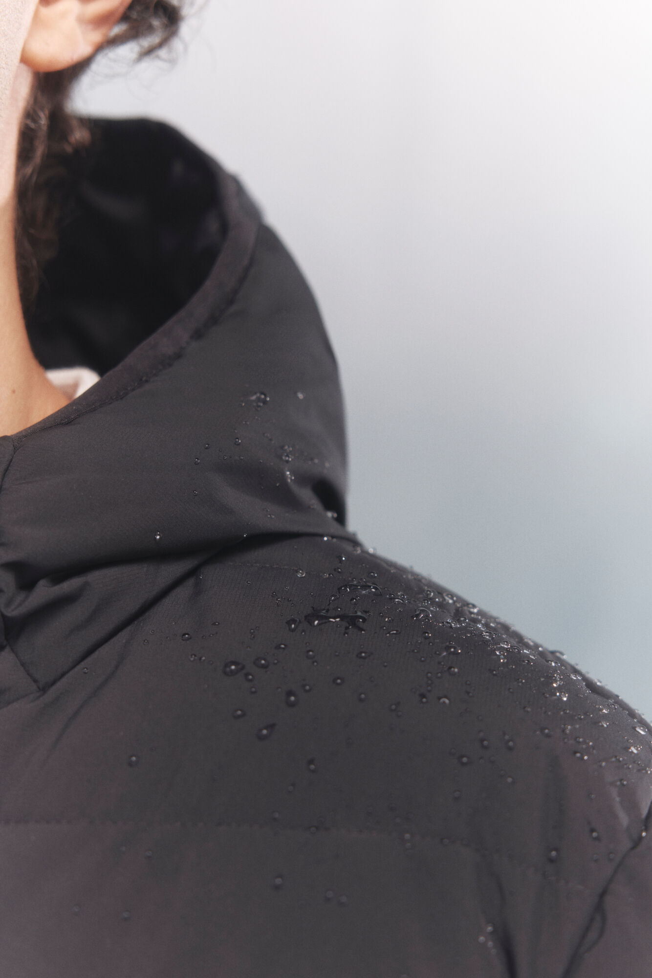 Springfield Plum&iacute;fero