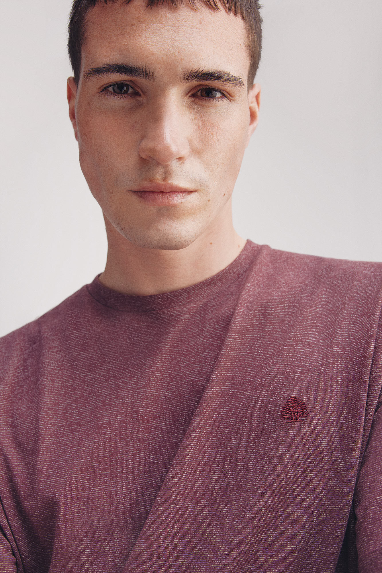 Springfield Playera microraya color