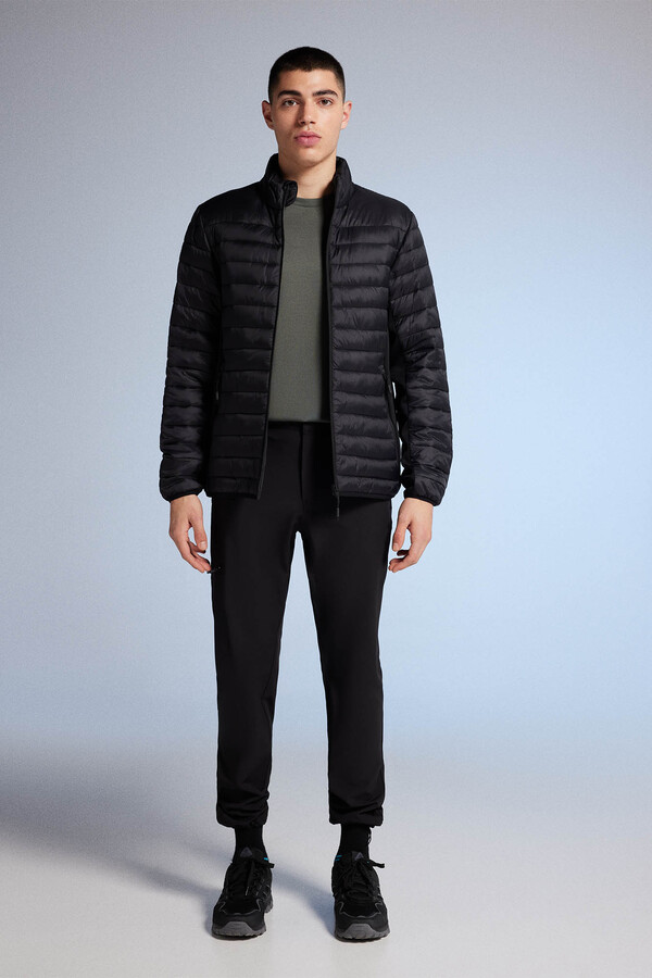 Springfield Chamarra acolchada combinada negro