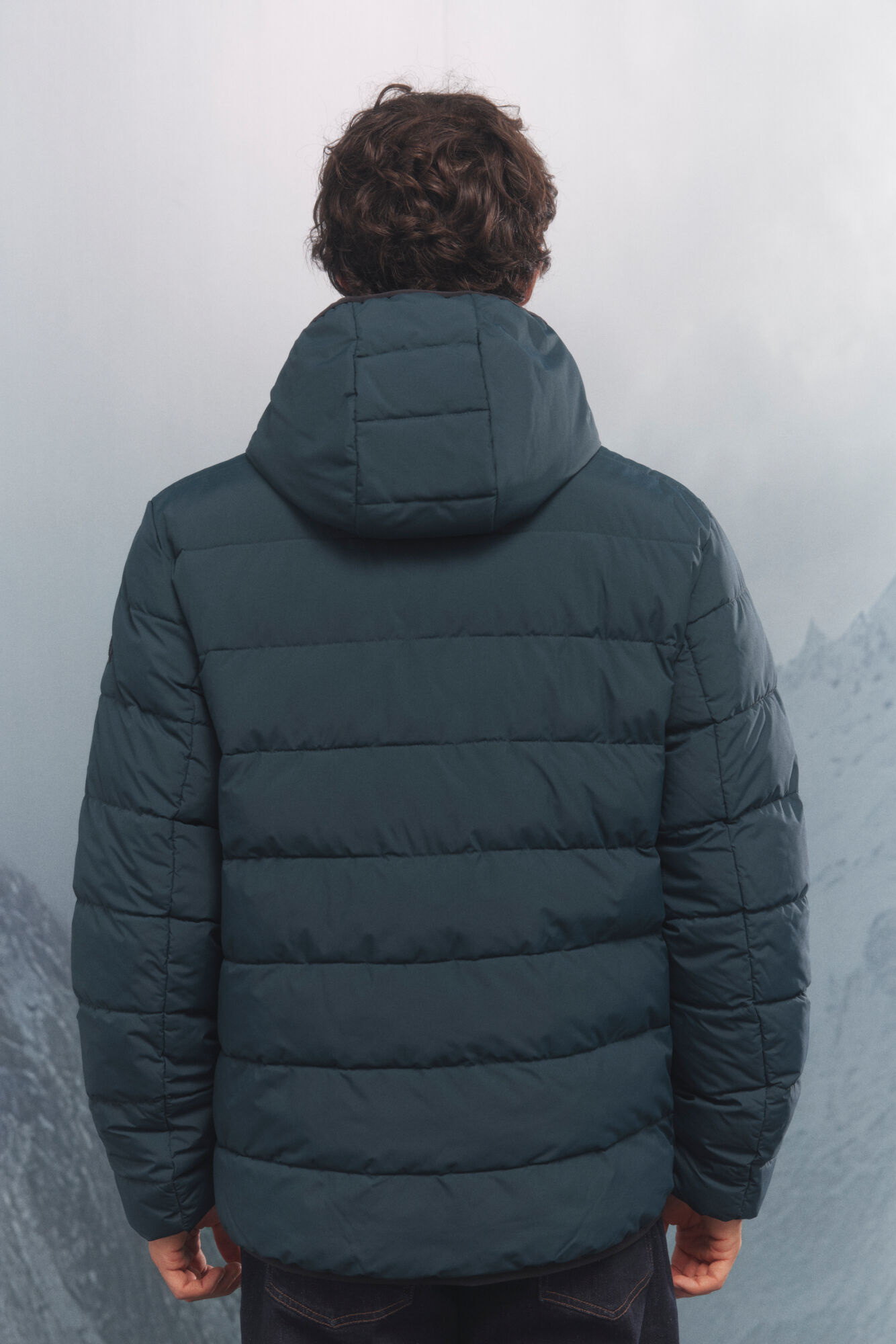 Springfield Plum&iacute;fero azul