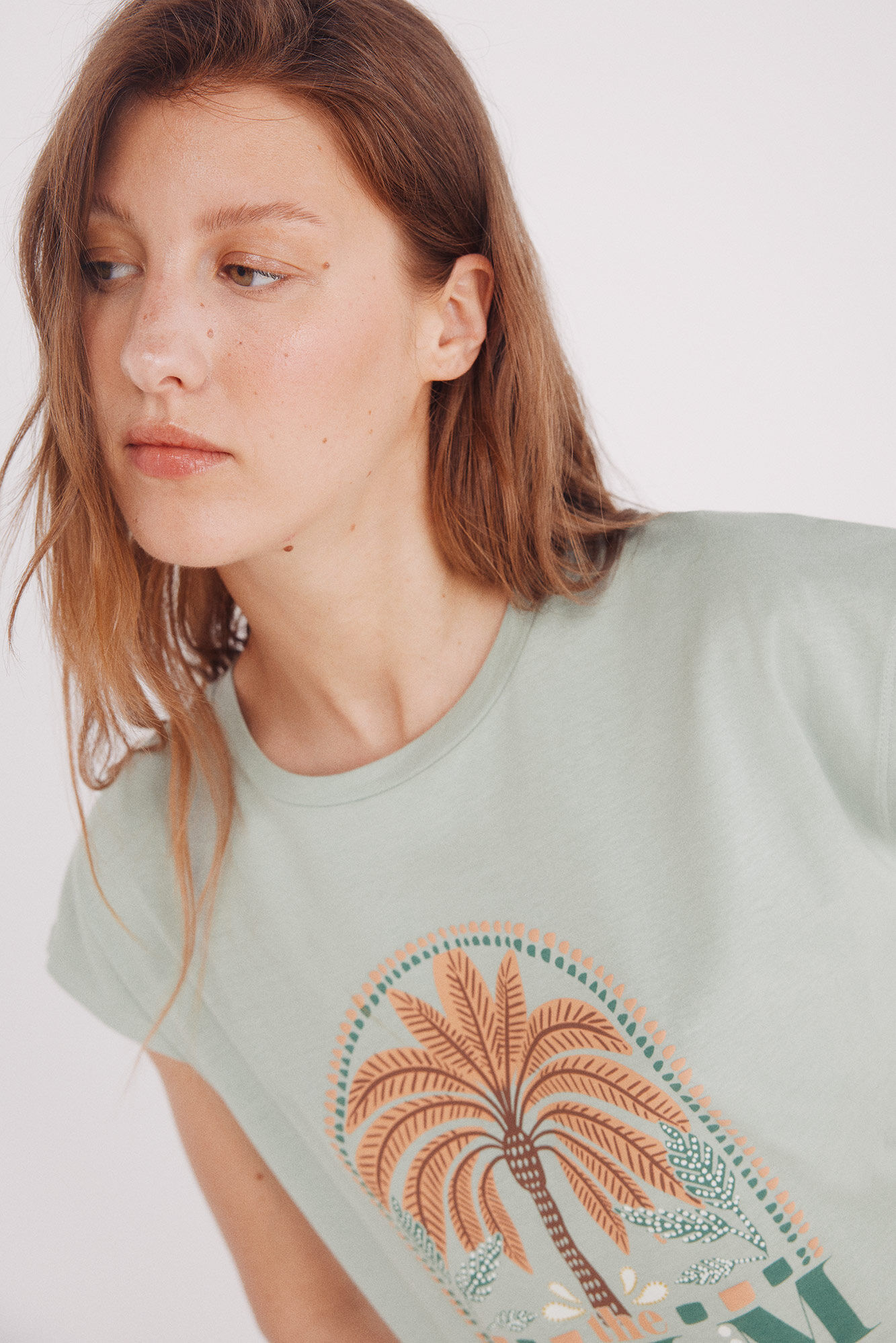 Springfield Playera gr&aacute;fica 