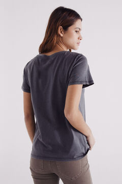 Springfield Playera gráfica frutas gris