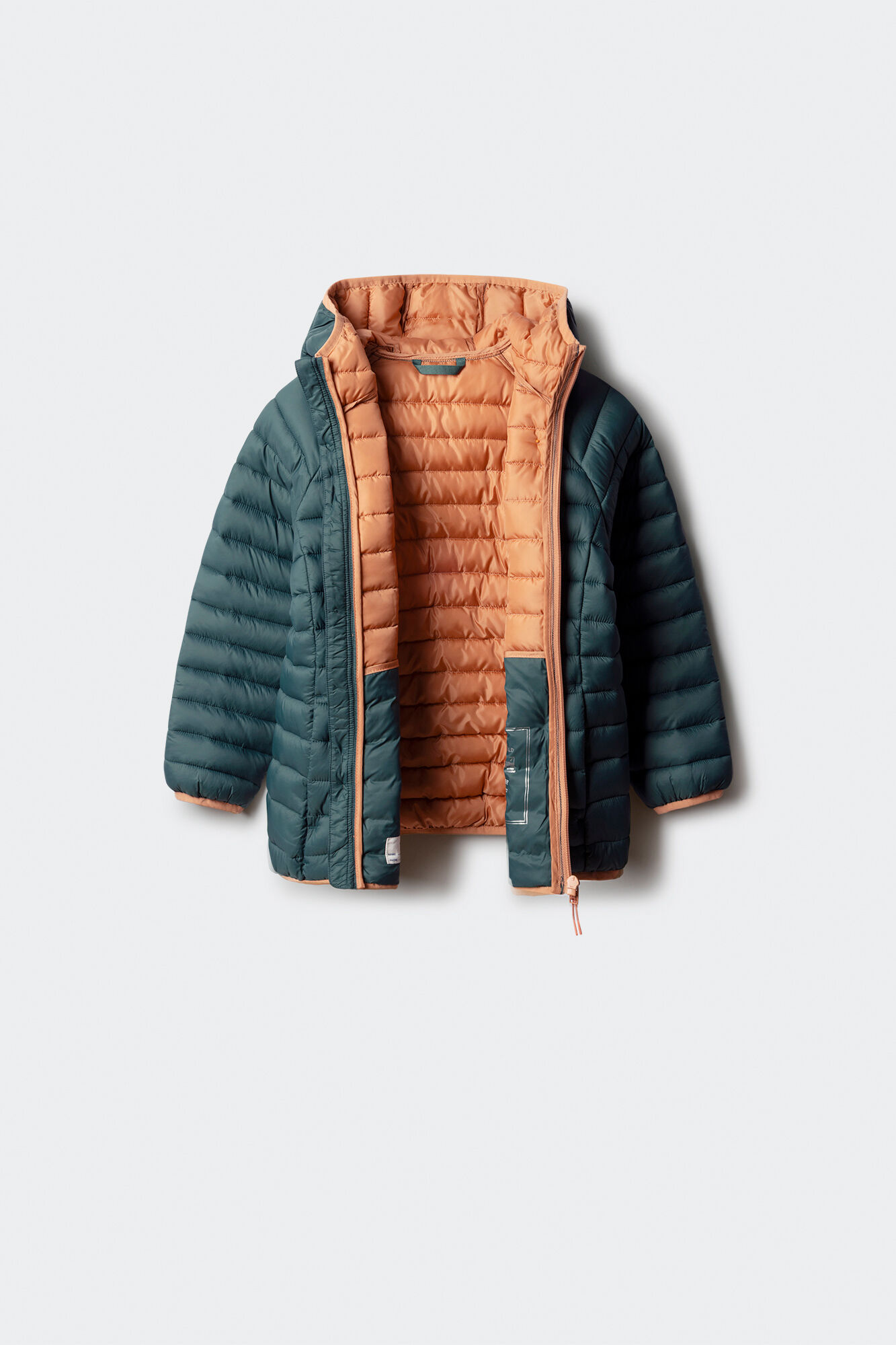 Springfield Kids Chaqueta acolchada ni&ntilde;o verde