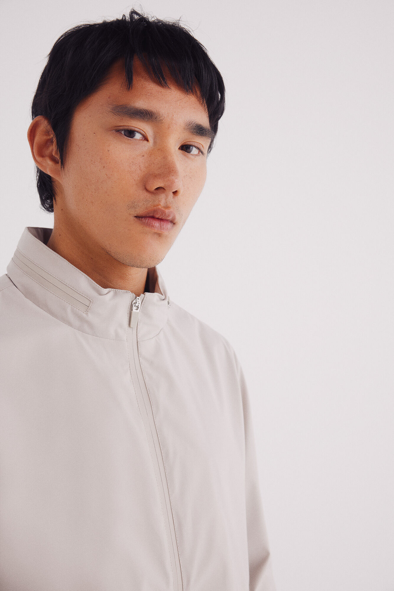 Springfield Chamarra deportiva caf&eacute;