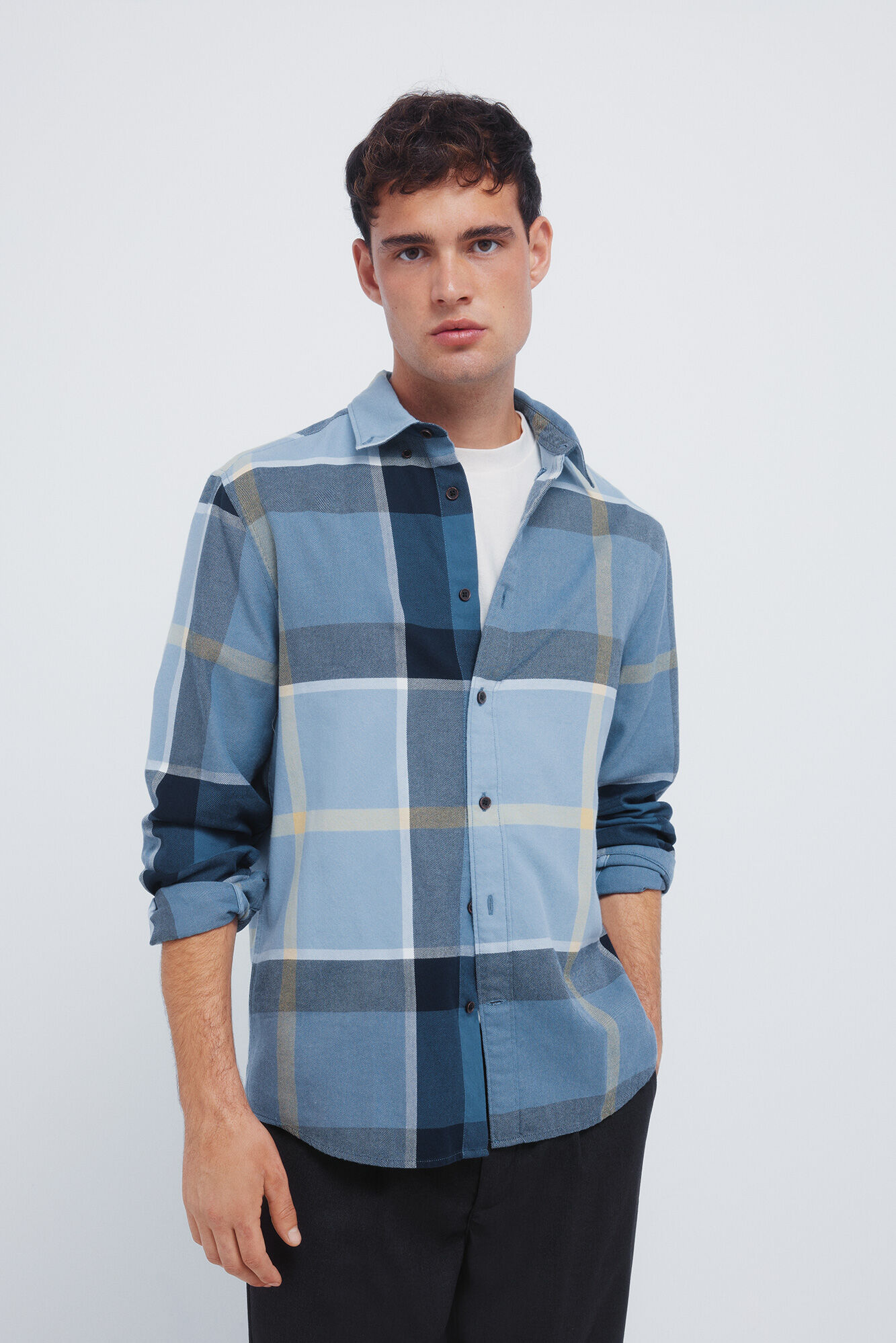 Springfield Camisa a camisa