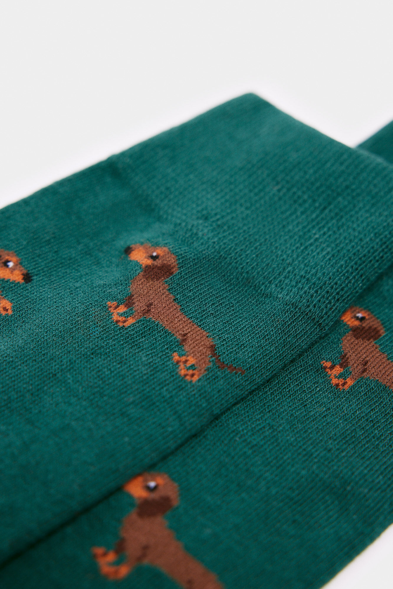 Springfield Calcet&iacute;n perros verde