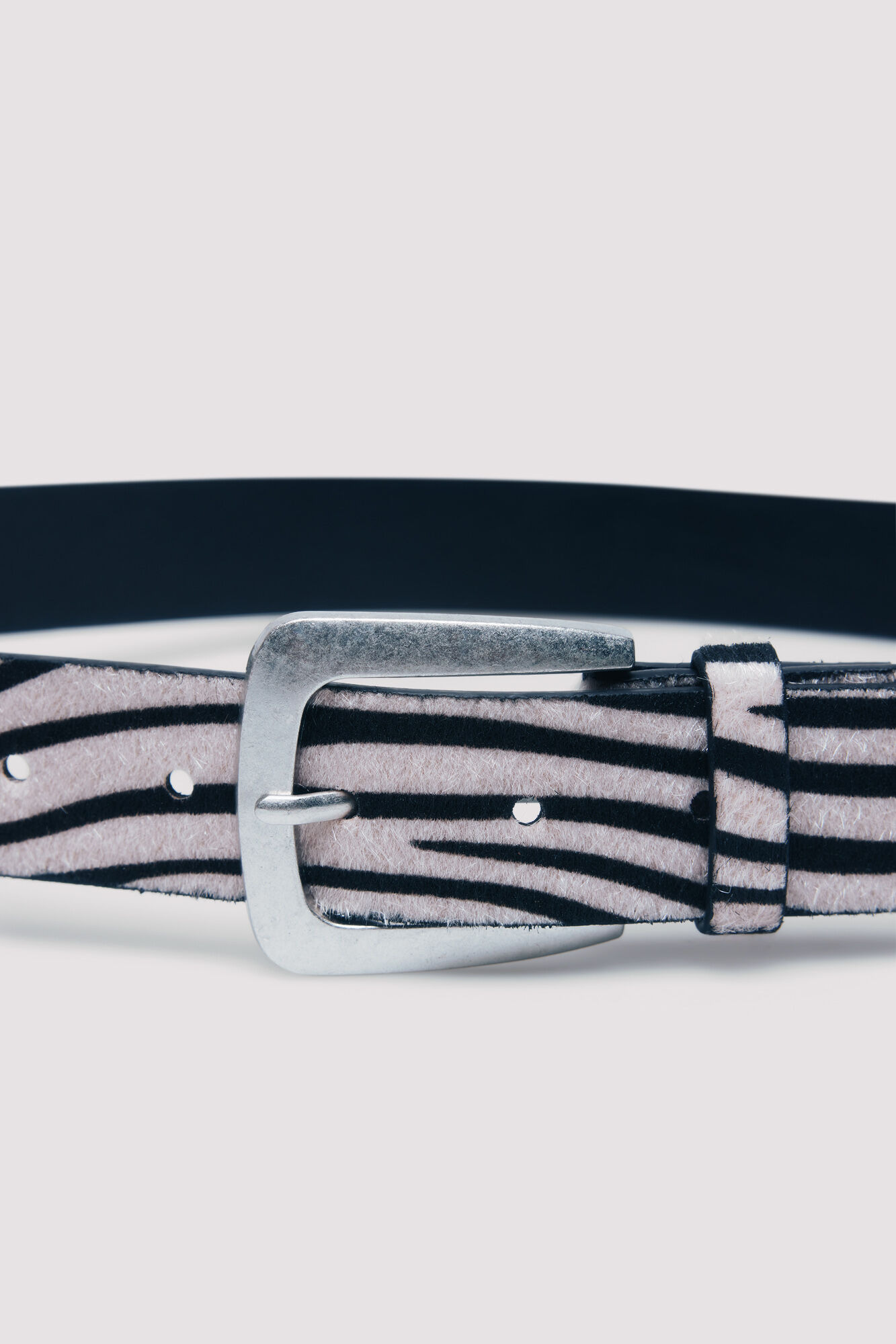 Springfield Cintur&oacute;n de cebra mediano negro