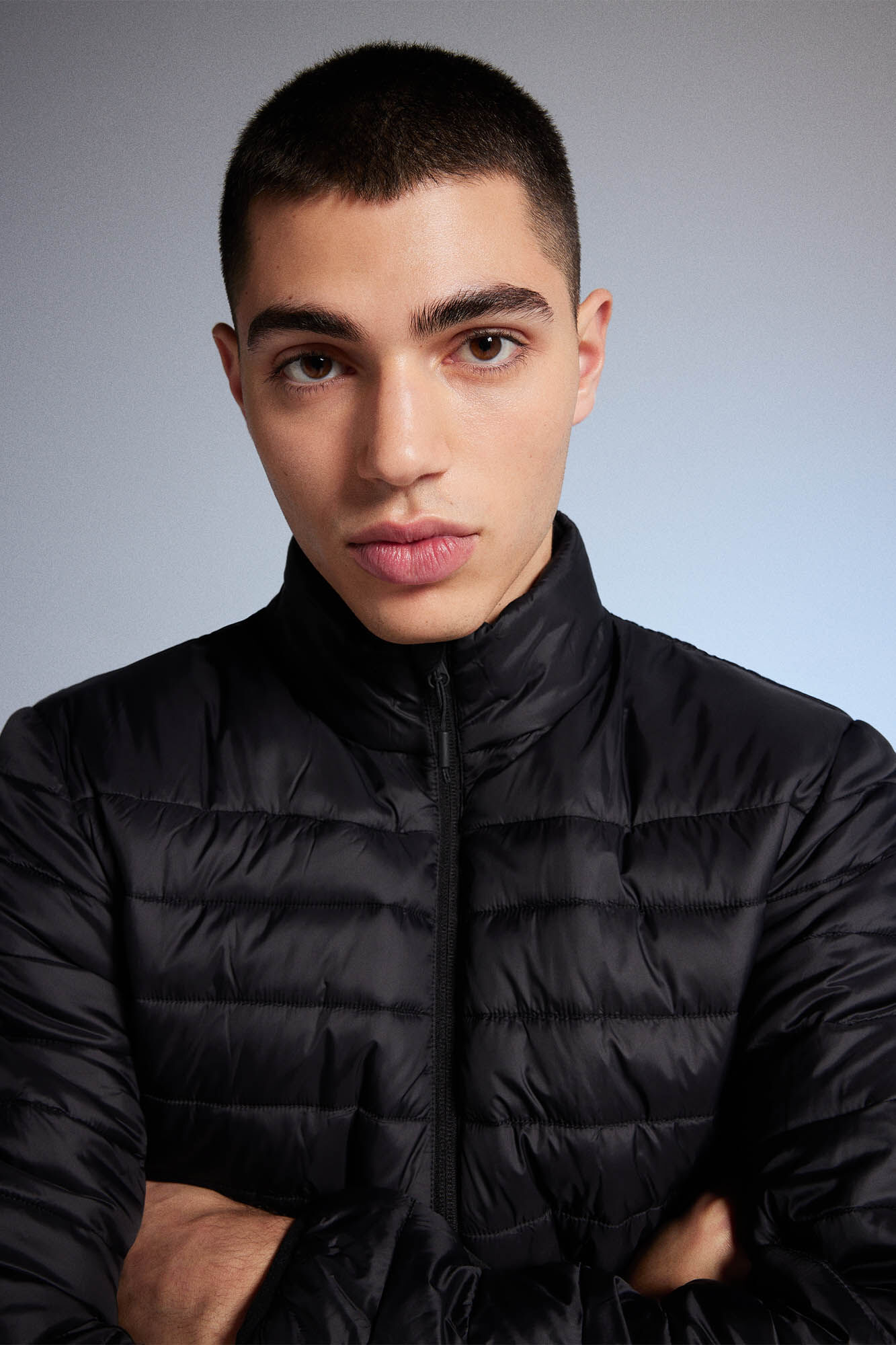 Springfield Chamarra acolchada combinada negro