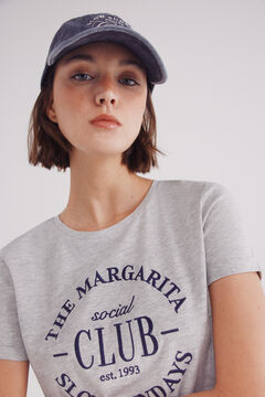 Springfield Playera gráfica gris