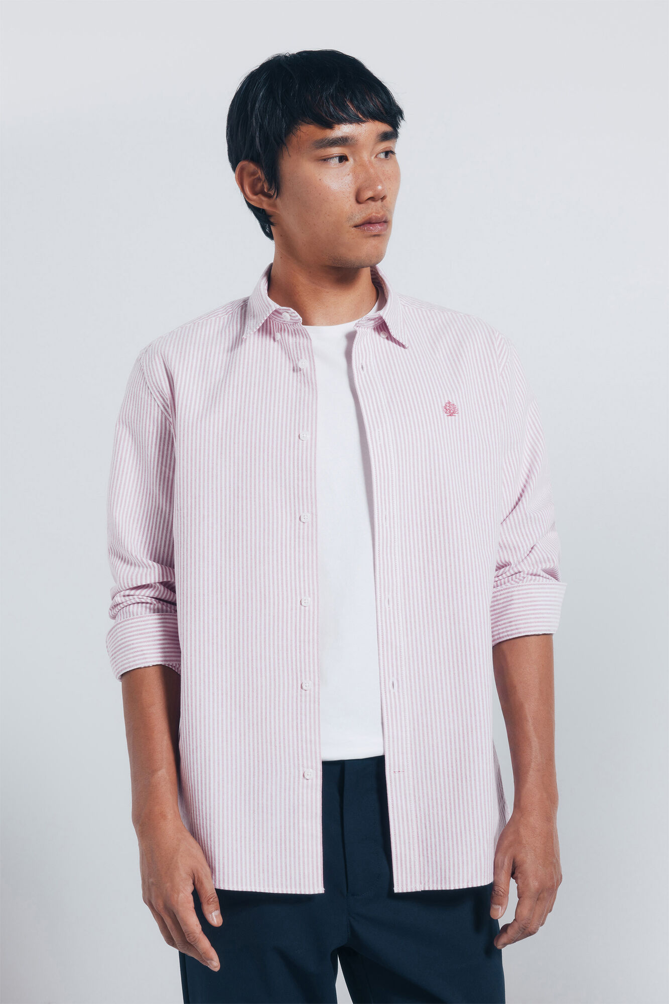 Springfield Camisa Oxford a rayas