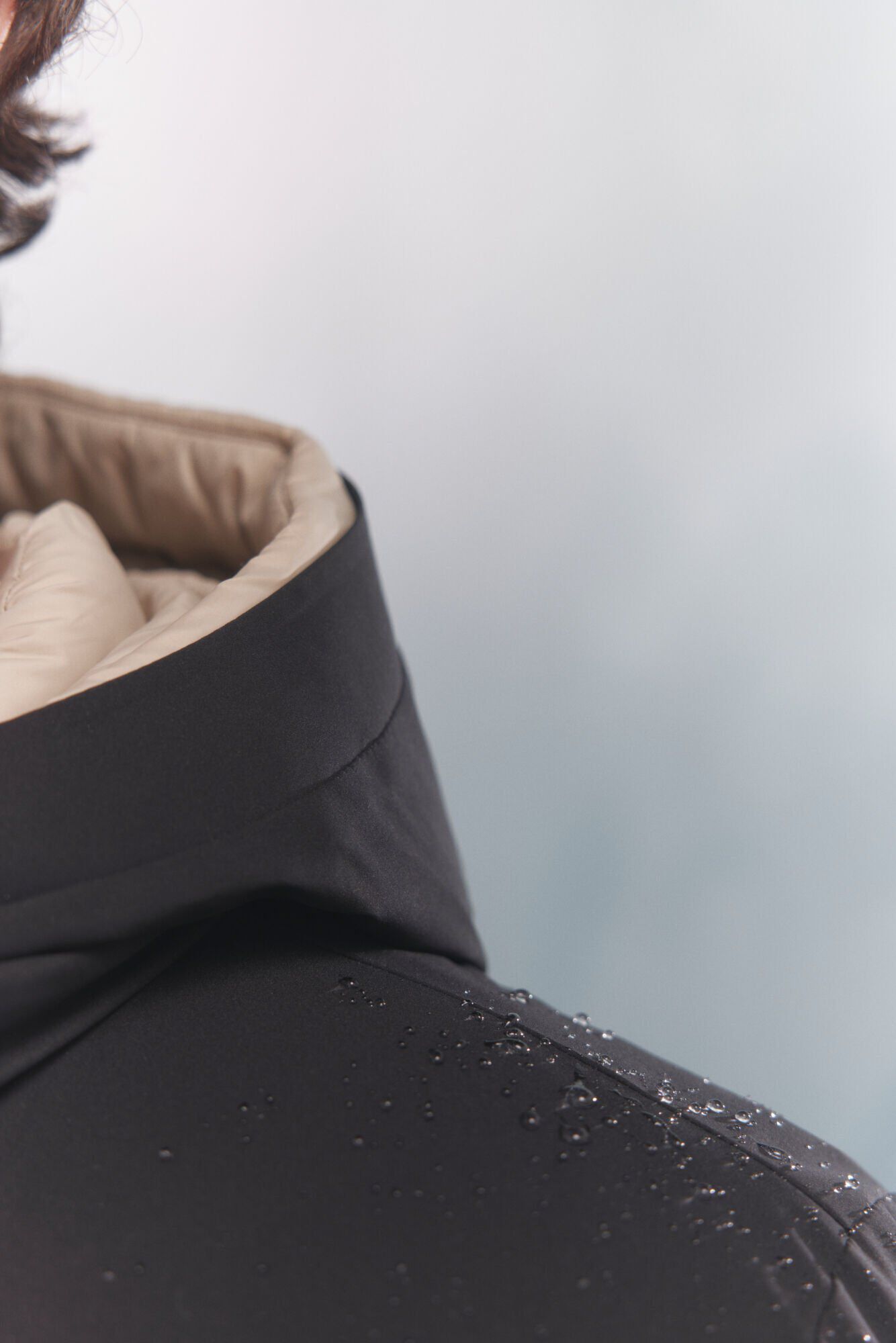 Springfield Plum&iacute;fero negro