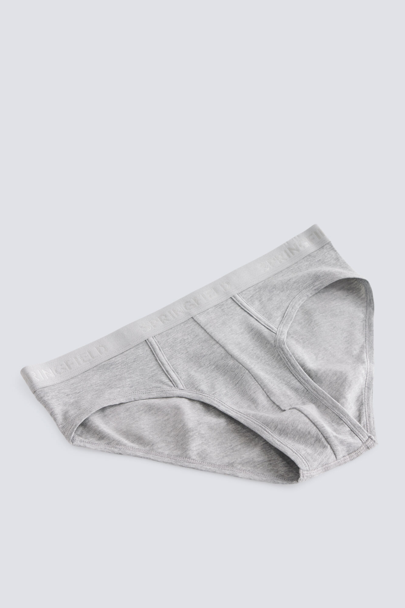 Springfield Pack 2 calzones b&aacute;sicos gris