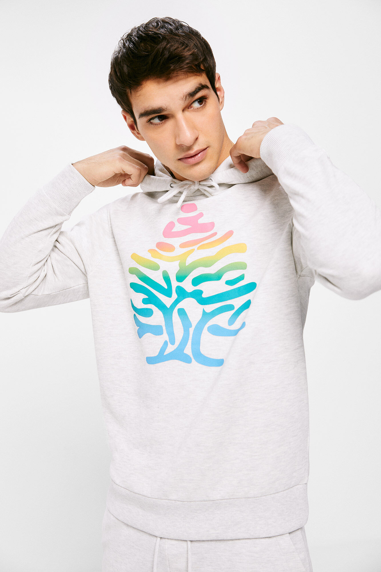 Springfield Sudadera capucha logo degradado gris