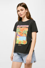Springfield Playera "California" gris
