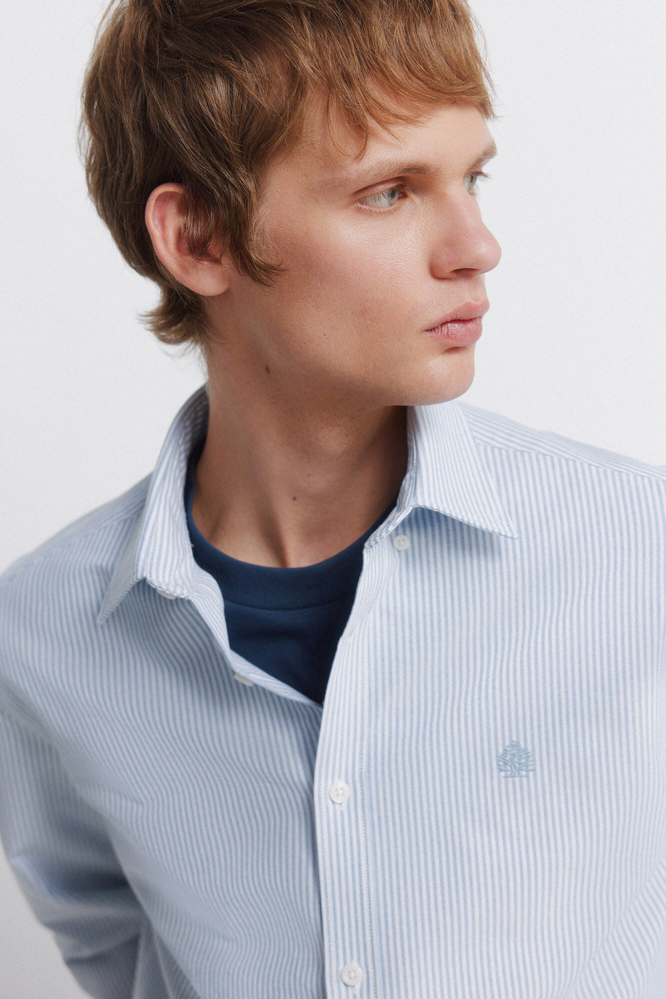 Springfield Camisa oxford a rayas sin arrugas