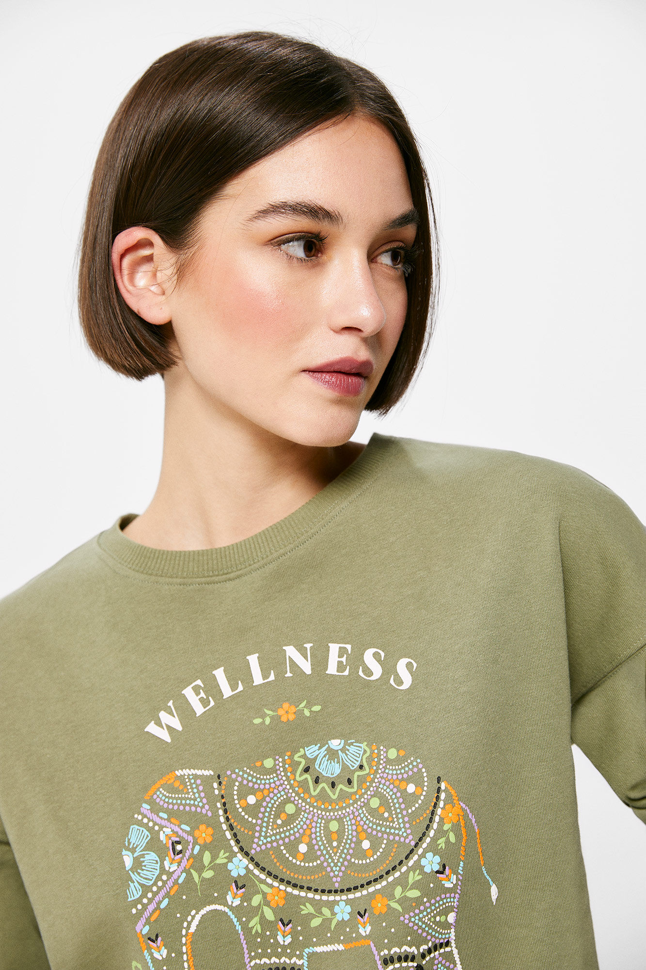 Springfield Sudadera "Wellness" verde