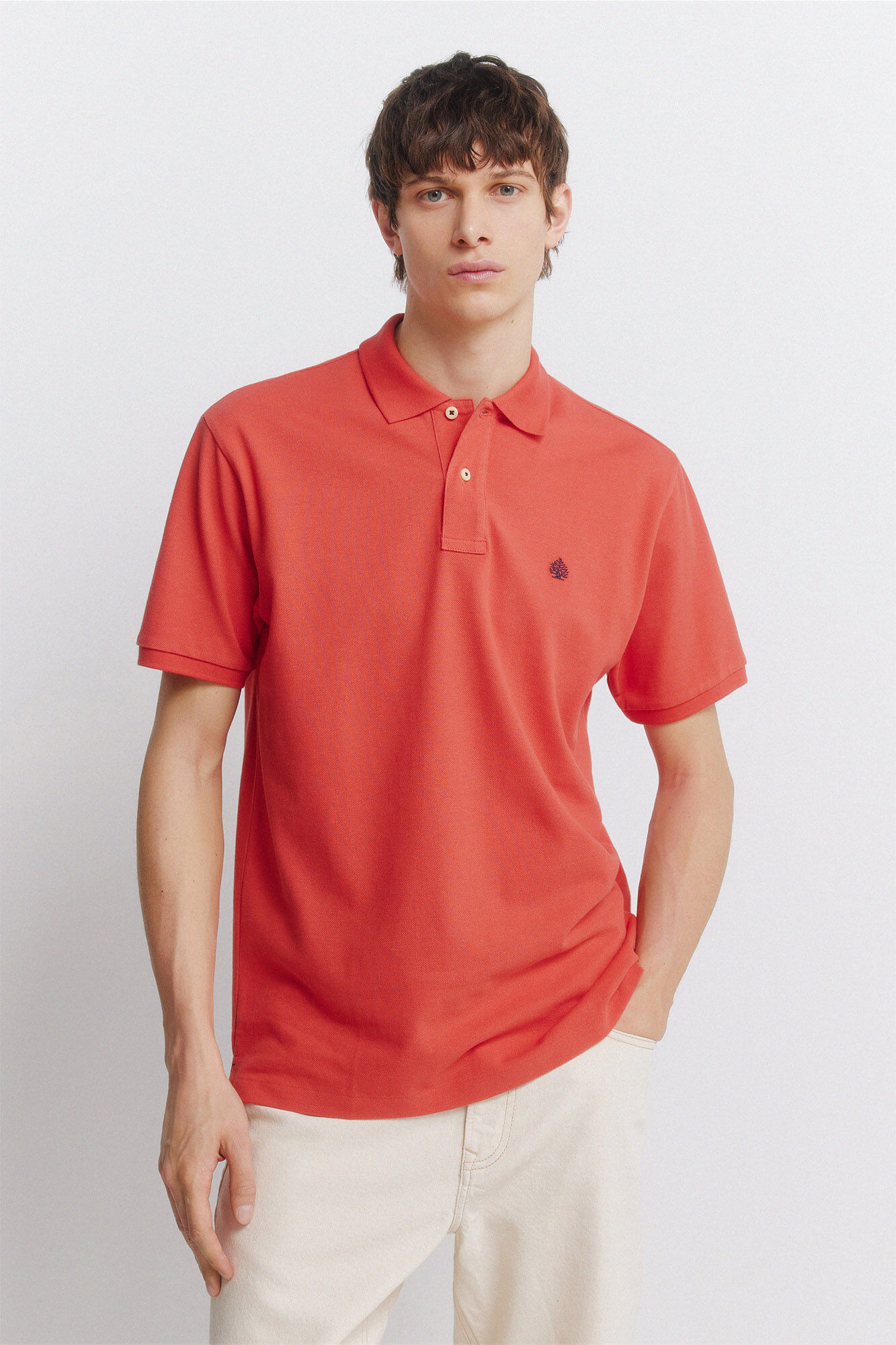 Springfield Polo b&aacute;sico regular fit estampado