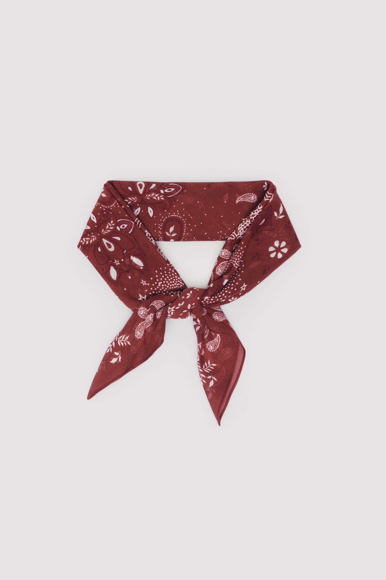 Springfield Pa&ntilde;uelo bandana paisley